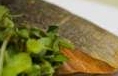escado Fish Restaurant Website